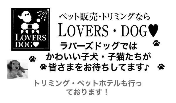LOVERS・DOG