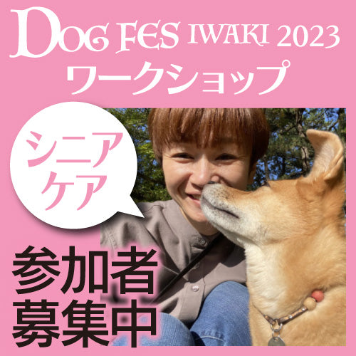 DOG FES IWAKI 2023 ワークショップ【シニアケア】