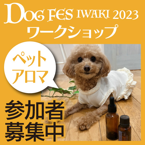 DOG FES IWAKI 2023 ワークショップ【ペットアロマ】