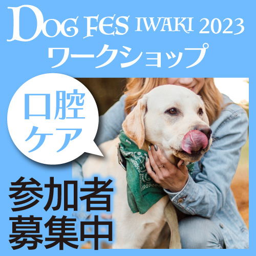 DOG FES IWAKI 2023 ワークショップ【口腔ケアチェック】