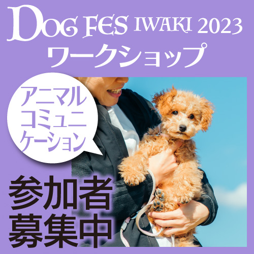 DOG FES IWAKI 2023 ワークショップ【アニマルコミュニケーション】